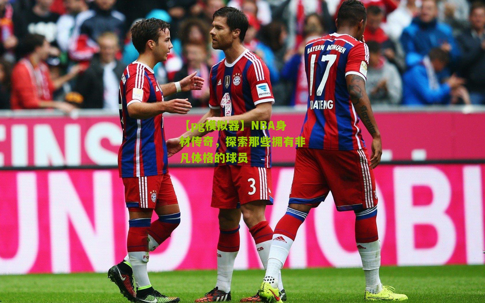 NBA身材传奇，探索那些拥有非凡体格的球员