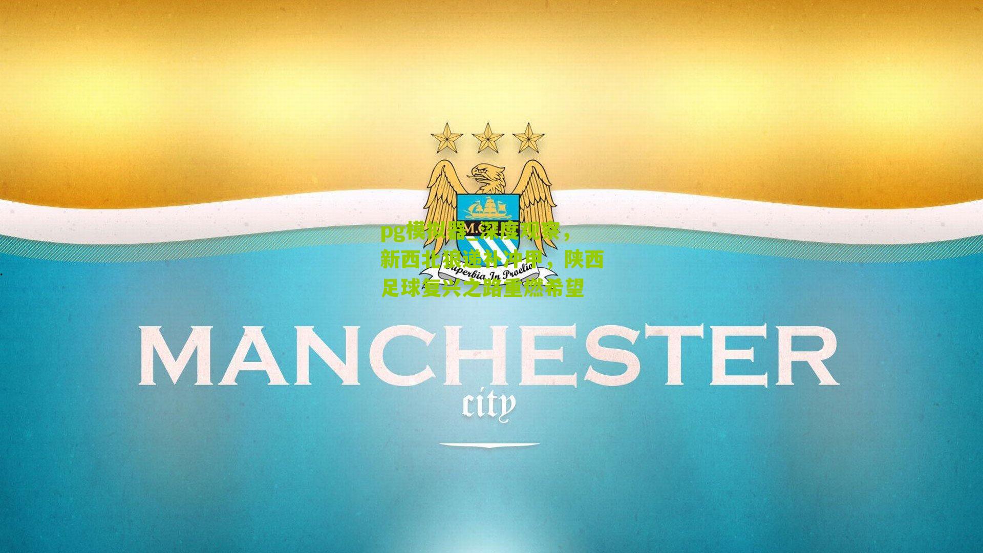 深度观察，新西北狼递补冲甲，陕西足球复兴之路重燃希望